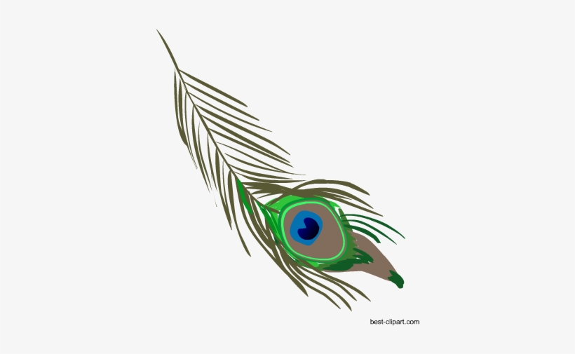 Detail Feather Clipart Png Nomer 40