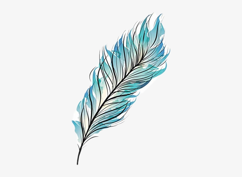 Detail Feather Clipart Png Nomer 43