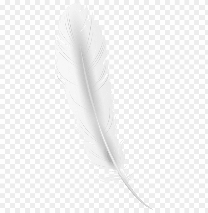 Detail Feather Clipart Png Nomer 47