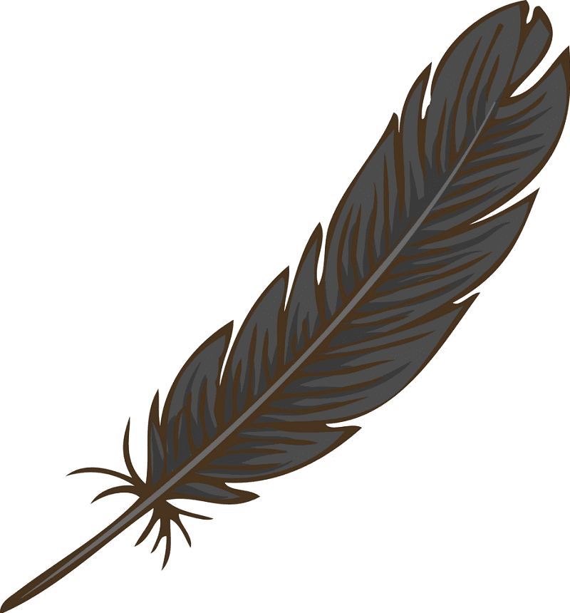 Detail Feather Clipart Png Nomer 49