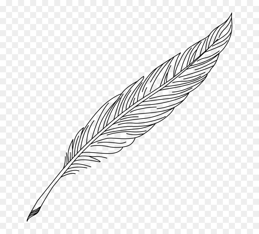 Detail Feather Clipart Transparent Background Nomer 15