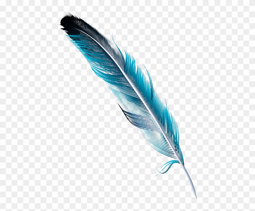 Detail Feather Clipart Transparent Background Nomer 3