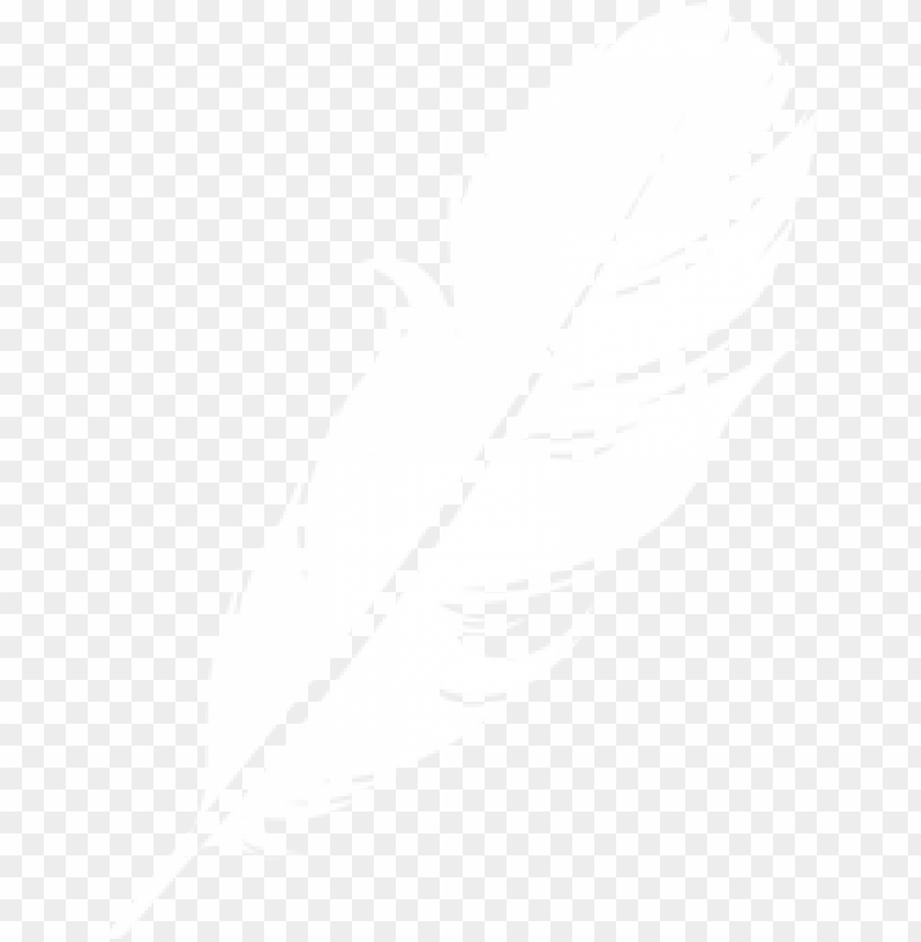 Detail Feather Clipart Transparent Background Nomer 28