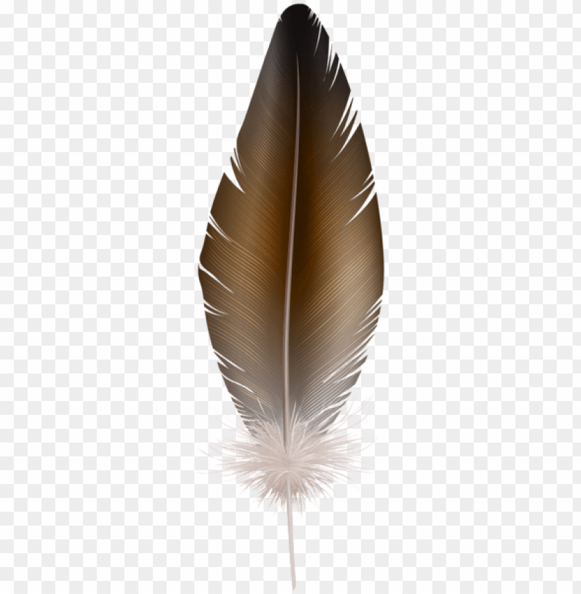 Detail Feather Clipart Transparent Background Nomer 39