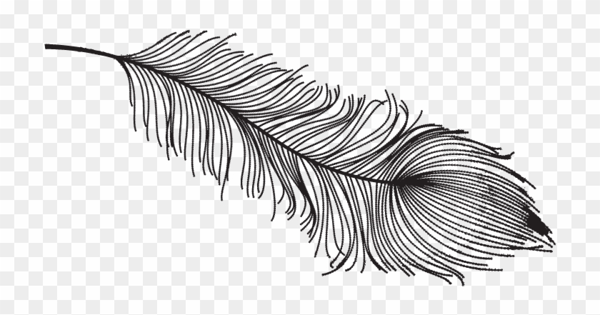 Detail Feather Drawing Png Nomer 9