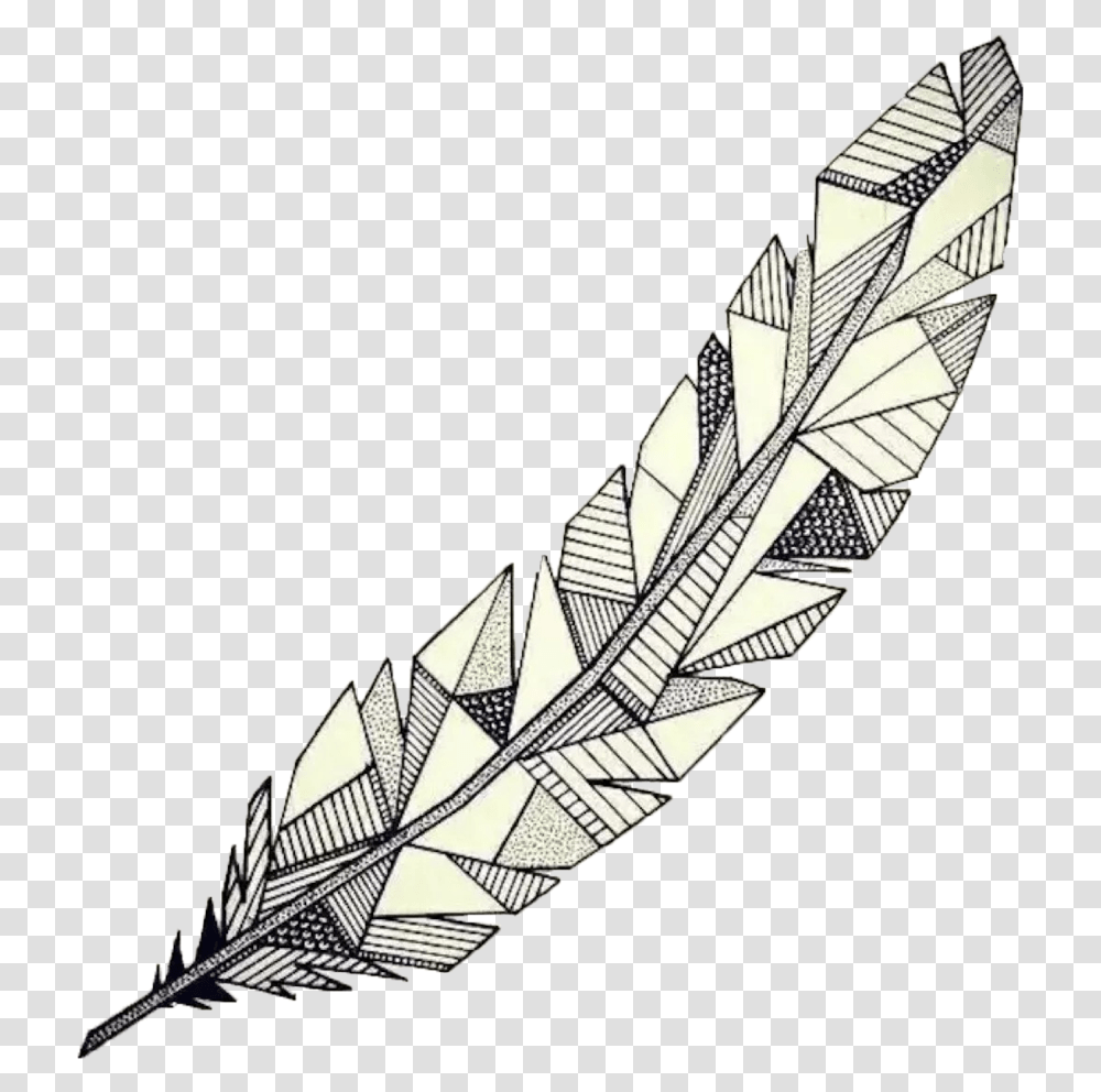 Detail Feather Drawing Png Nomer 18