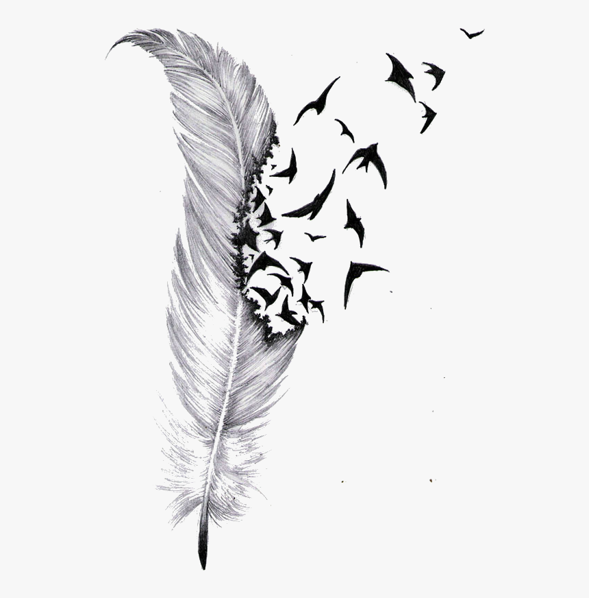 Detail Feather Drawing Png Nomer 20