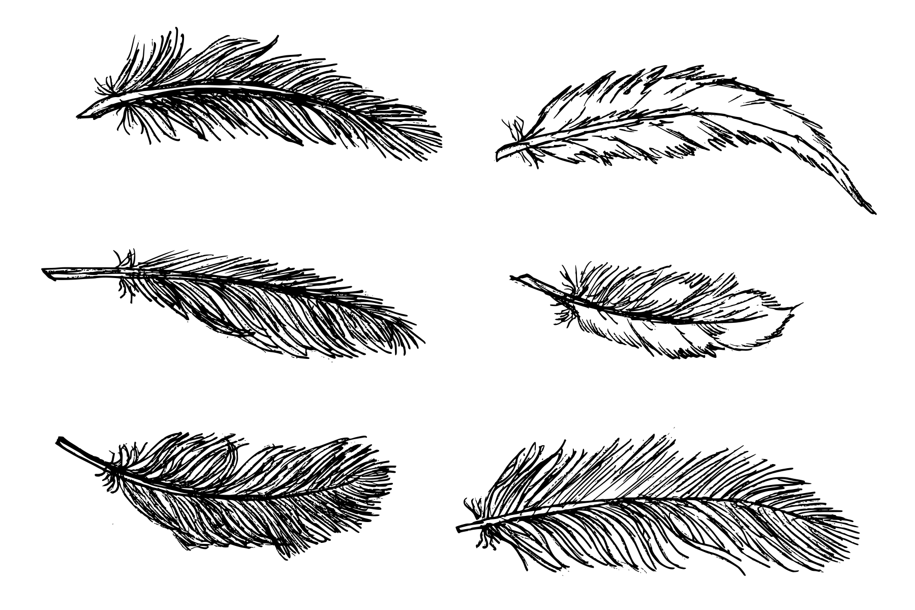 Detail Feather Drawing Png Nomer 3