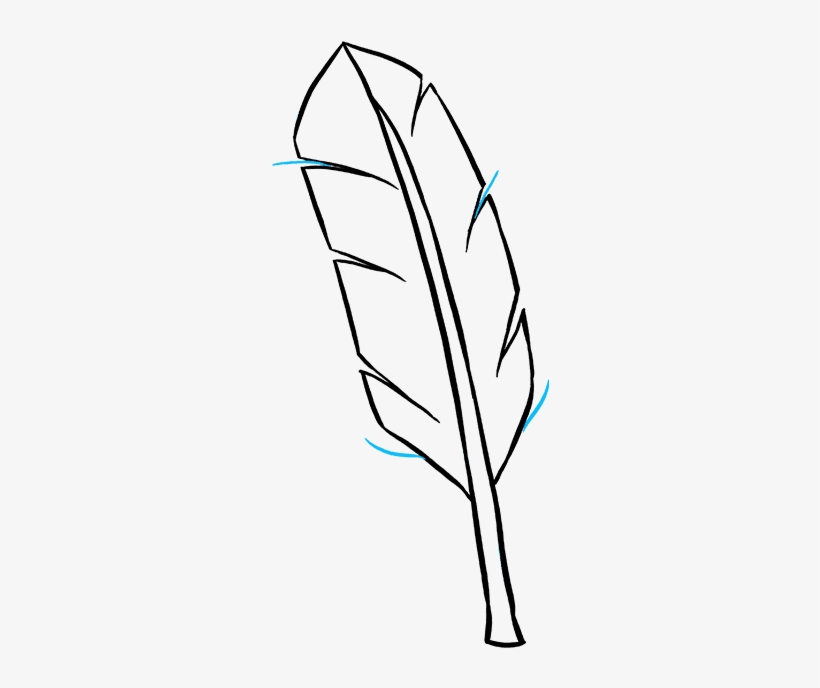 Detail Feather Drawing Png Nomer 22