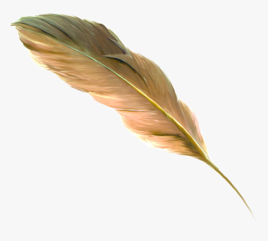 Detail Feather Drawing Png Nomer 37