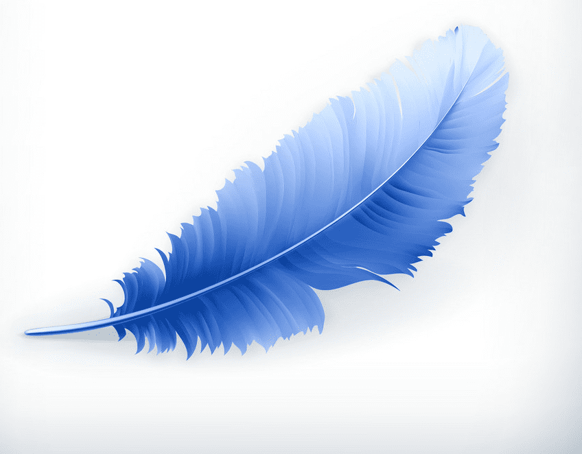 Detail Feather Images Free Nomer 16