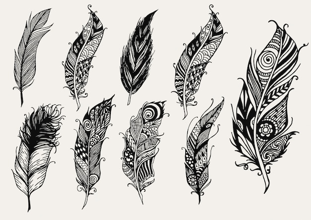 Detail Feather Images Free Nomer 36