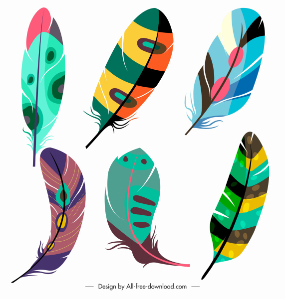 Detail Feather Images Free Nomer 46