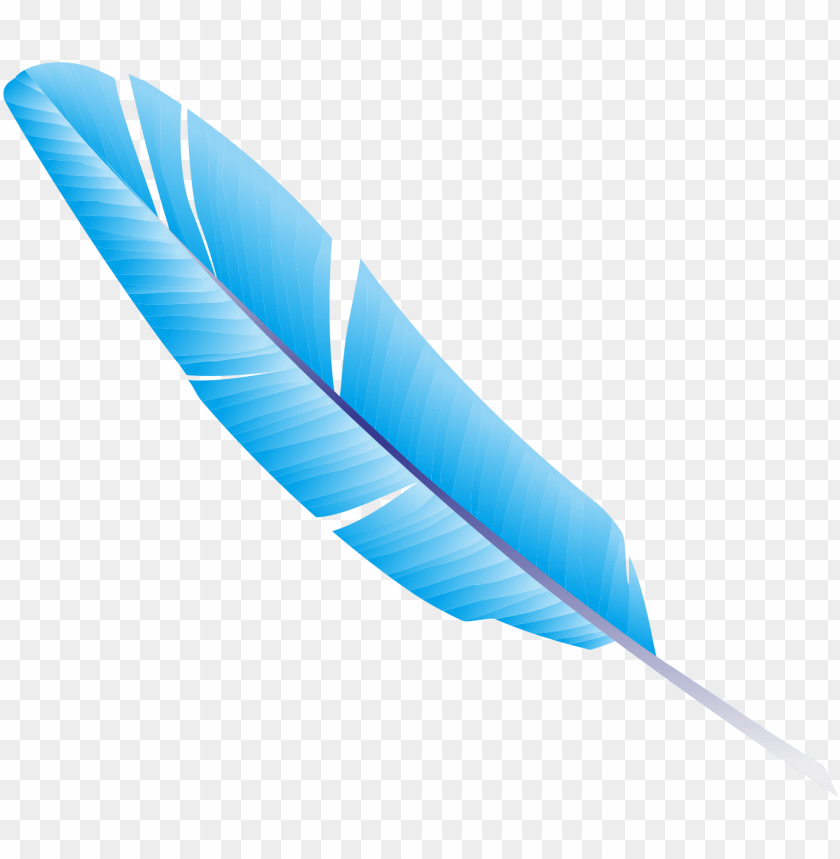 Detail Feather Images Free Nomer 50