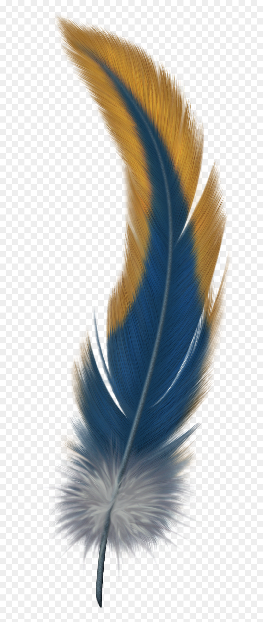Detail Feather No Background Nomer 40