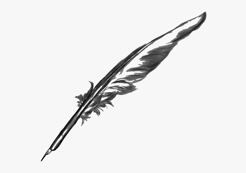 Detail Feather No Background Nomer 41