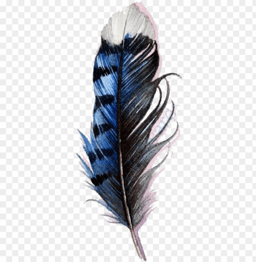 Detail Feather No Background Nomer 4