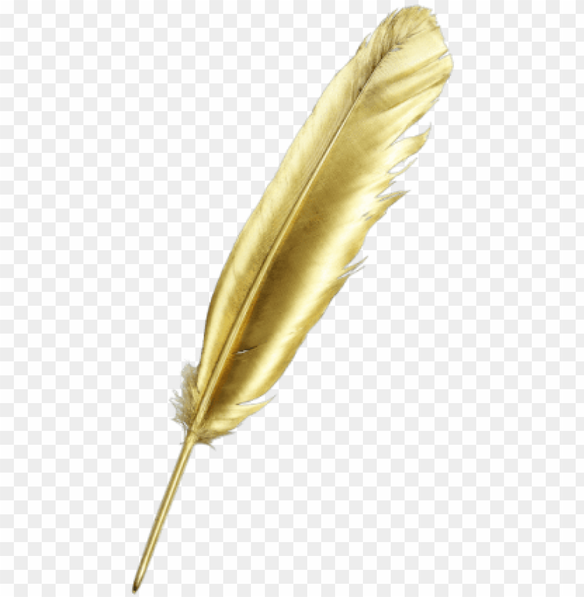 Detail Feather No Background Nomer 42