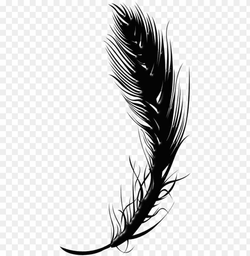 Detail Feather No Background Nomer 45