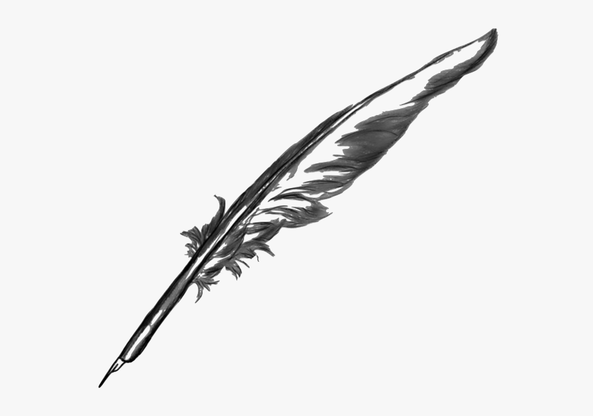 Feather Pen Transparent Background - KibrisPDR