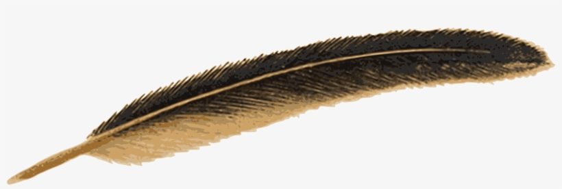 Detail Feather Pen Transparent Background Nomer 21