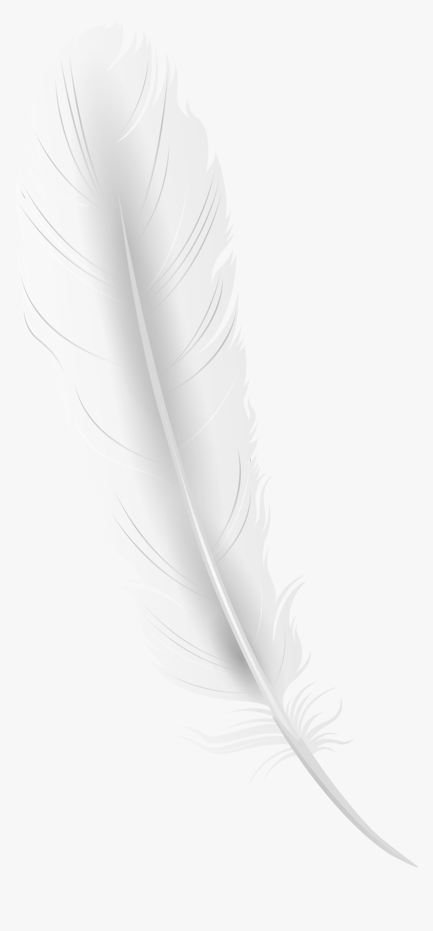 Detail Feather Pen Transparent Background Nomer 34