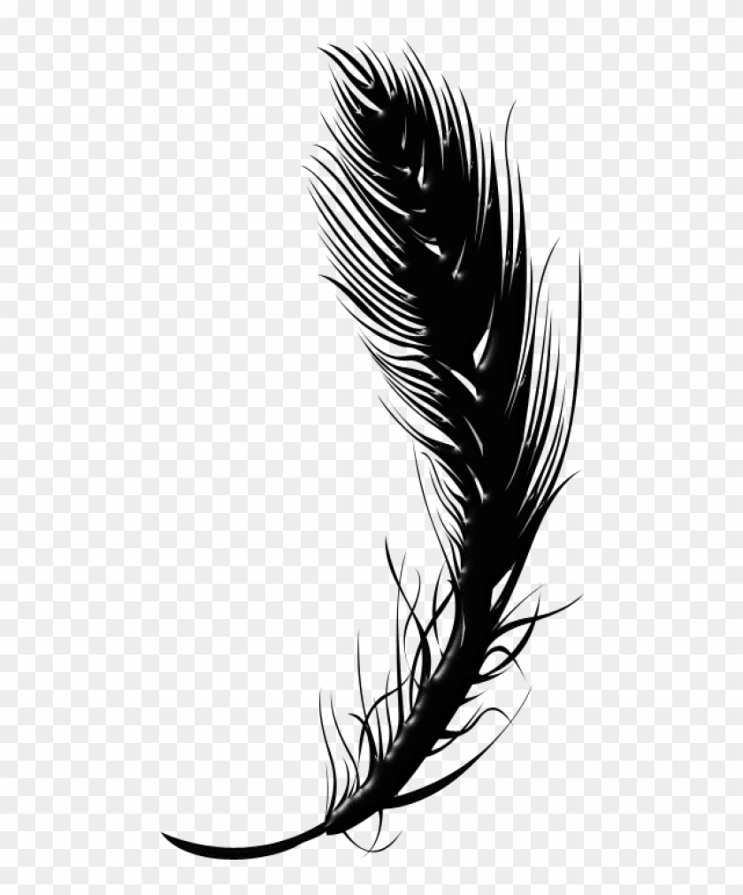 Detail Feather Pen Transparent Background Nomer 43