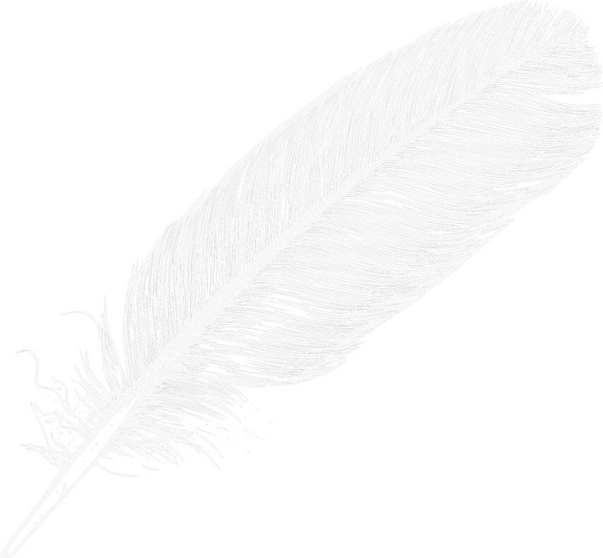 Detail Feather Png Images Nomer 9