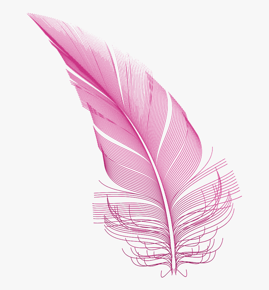 Detail Feather Png Images Nomer 17