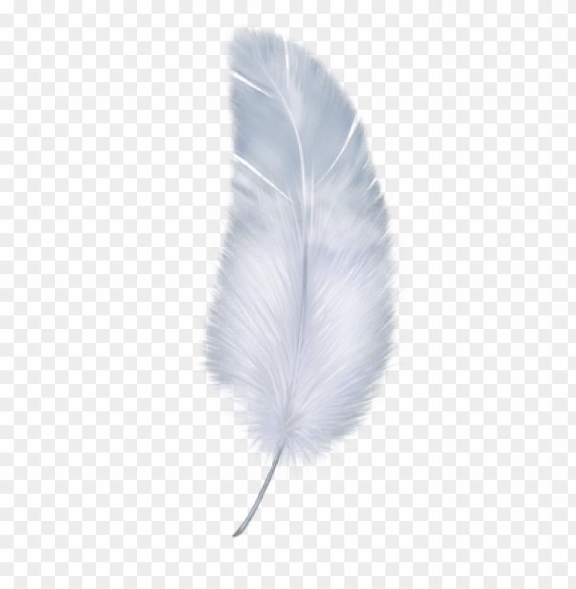 Detail Feather Png Images Nomer 3