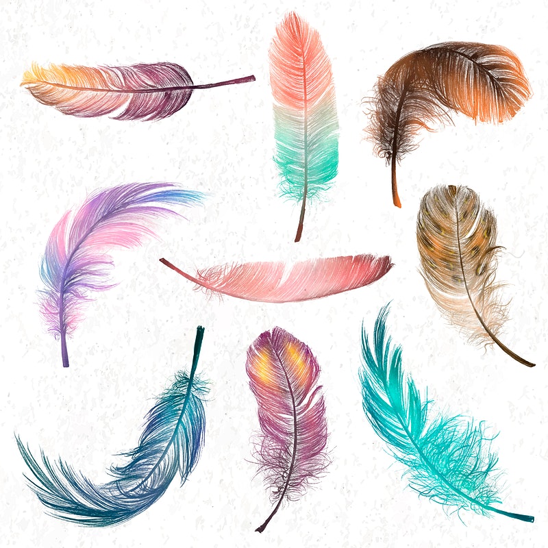 Detail Feather Png Images Nomer 25