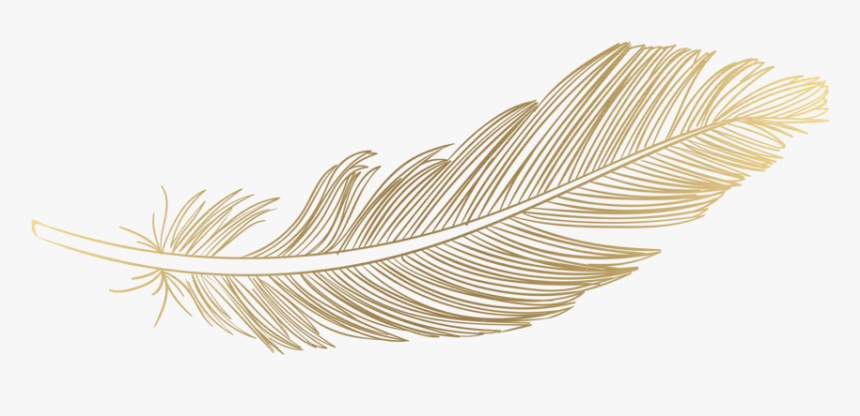 Detail Feather Png Images Nomer 26