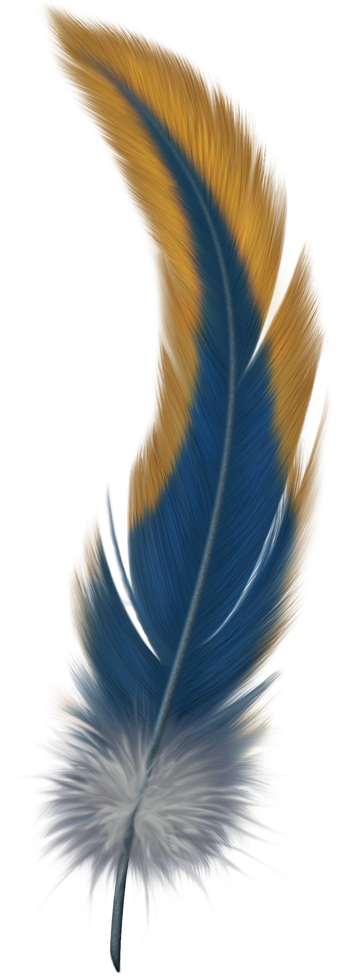 Detail Feather Png Images Nomer 27