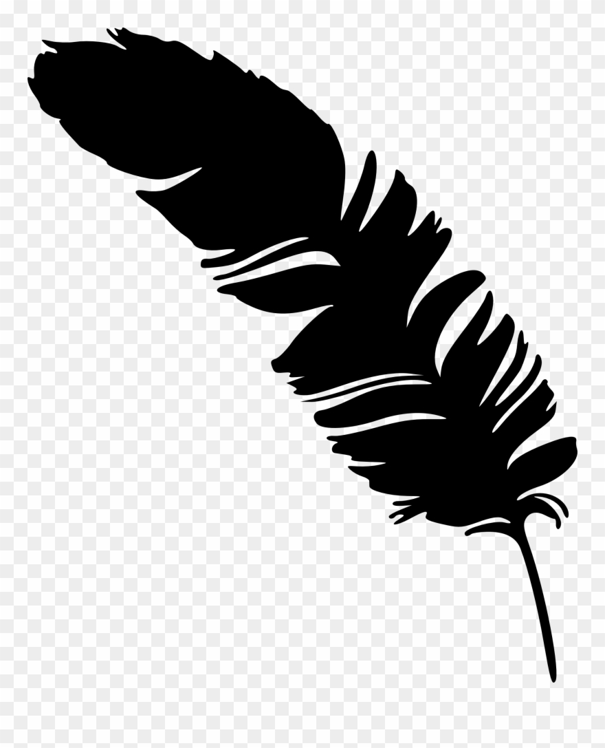 Detail Feather Png Images Nomer 32