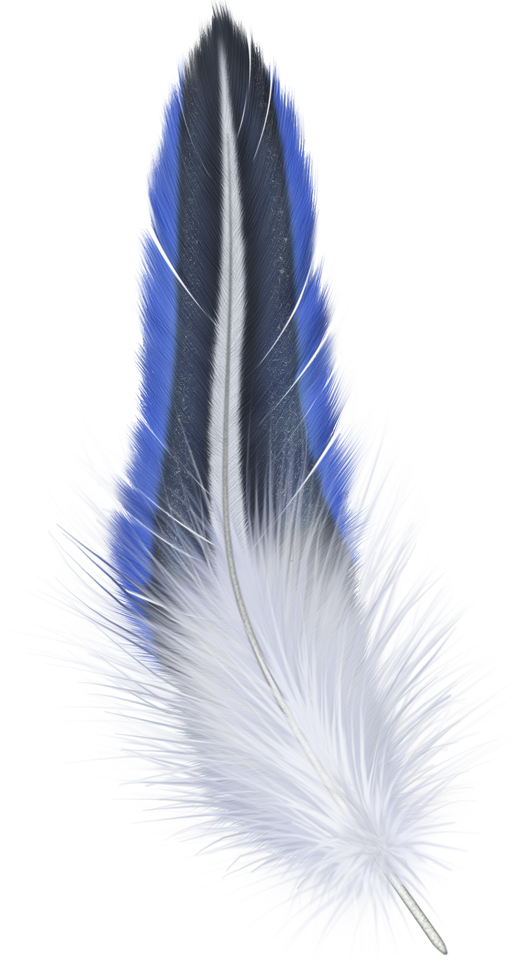 Detail Feather Png Images Nomer 33