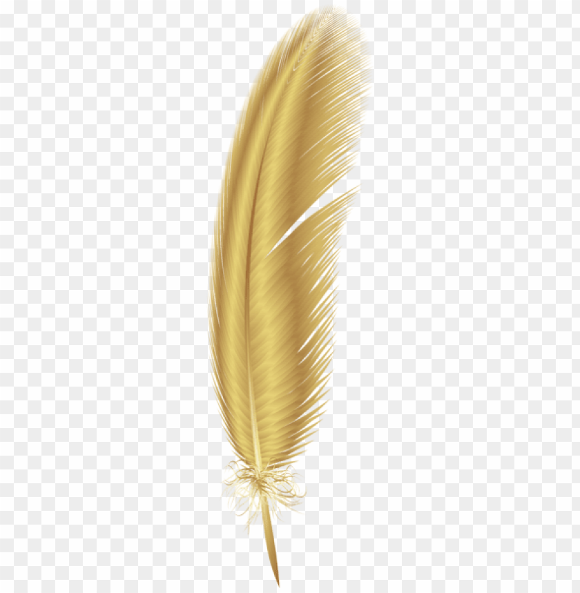 Detail Feather Png Images Nomer 37