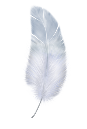 Detail Feather Png Images Nomer 42
