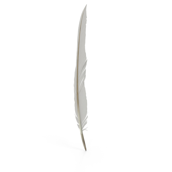 Detail Feather Png Images Nomer 47