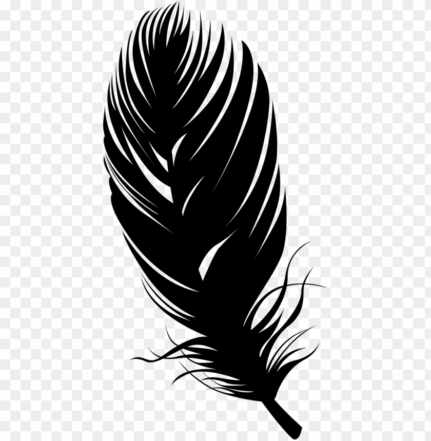 Detail Feather Png Images Nomer 5