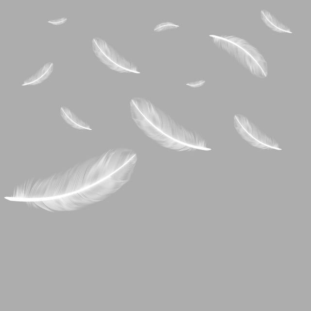 Detail Feather Png Transparent Nomer 16