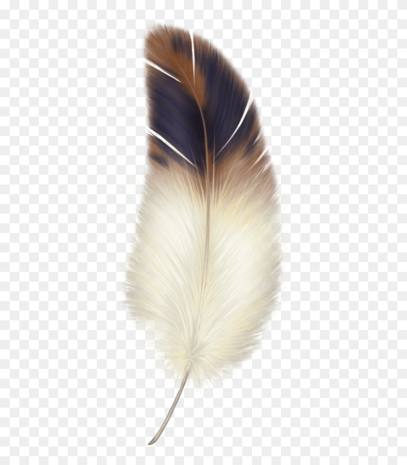Detail Feather Png Transparent Nomer 17