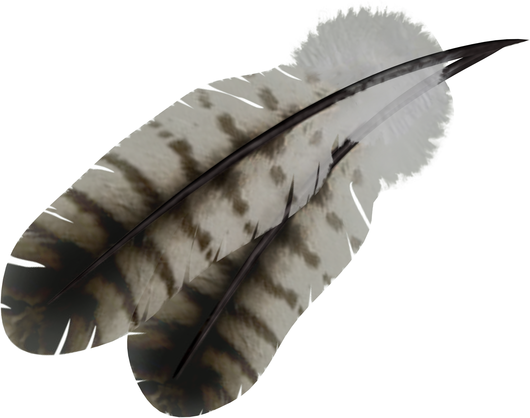 Detail Feather Png Transparent Nomer 23