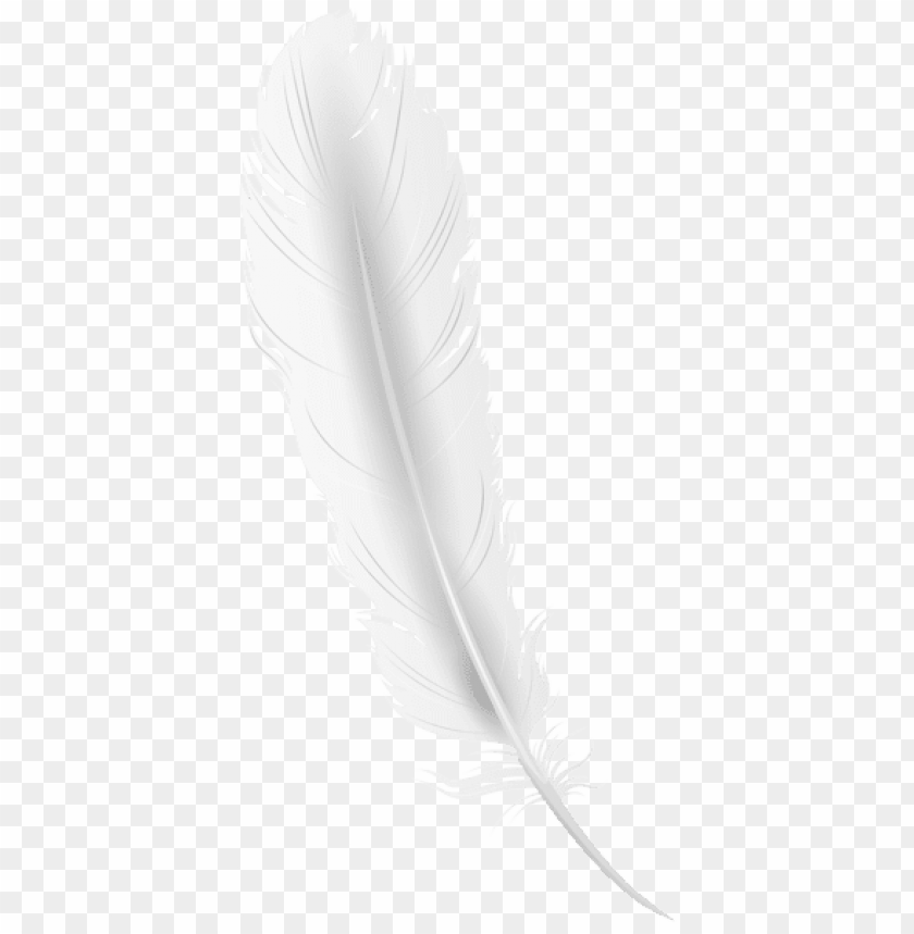 Detail Feather Png Transparent Nomer 26