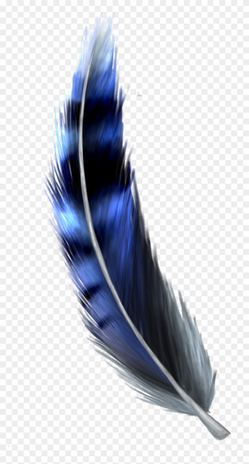Detail Feather Png Transparent Nomer 28