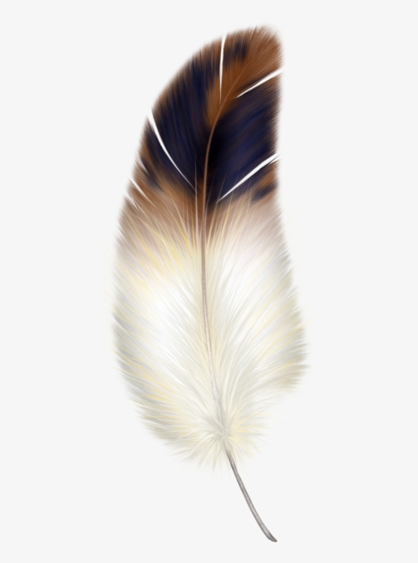 Detail Feather Png Transparent Nomer 30