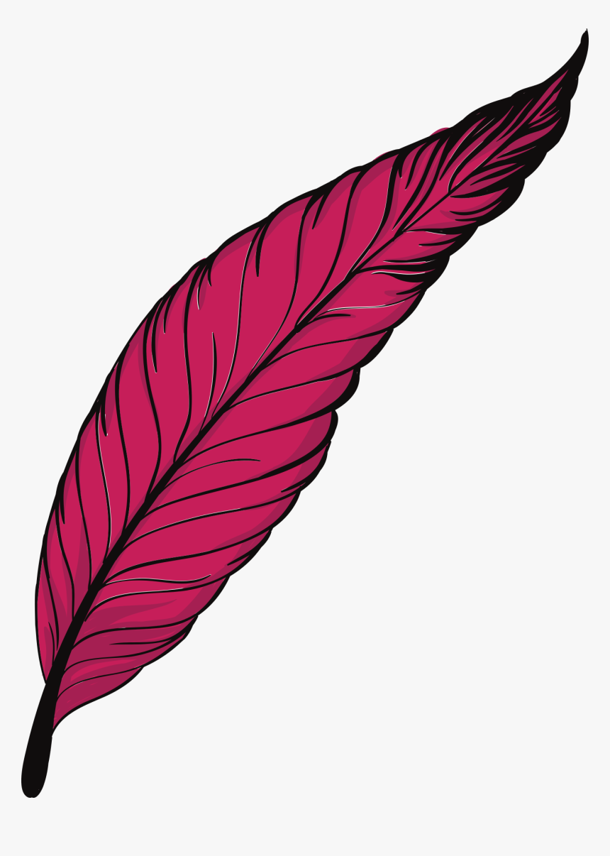 Detail Feather Png Transparent Nomer 37