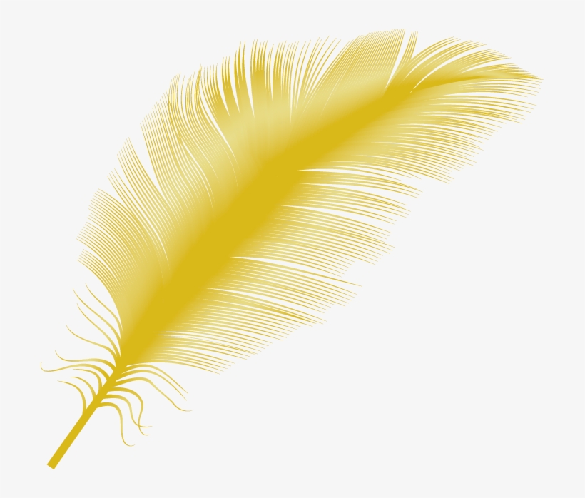 Detail Feather Png Transparent Nomer 39