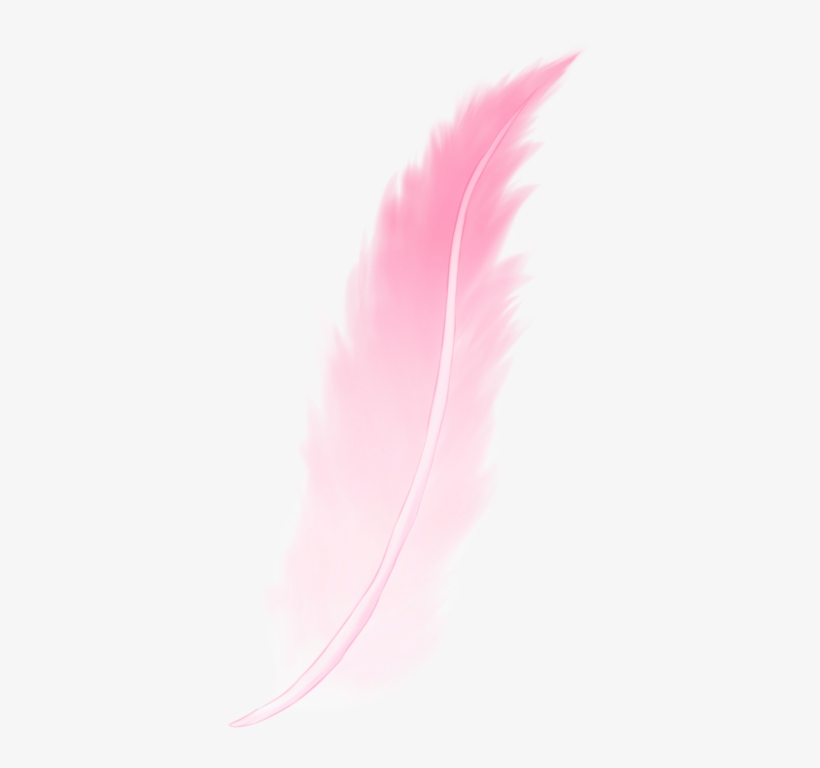 Detail Feather Png Transparent Nomer 41