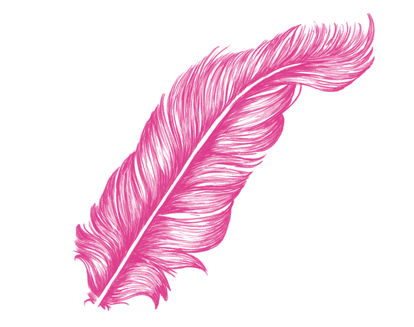 Detail Feather Png Transparent Nomer 44