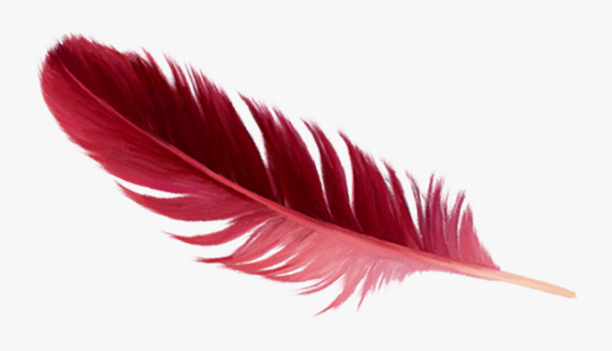Detail Feather Png Transparent Nomer 45